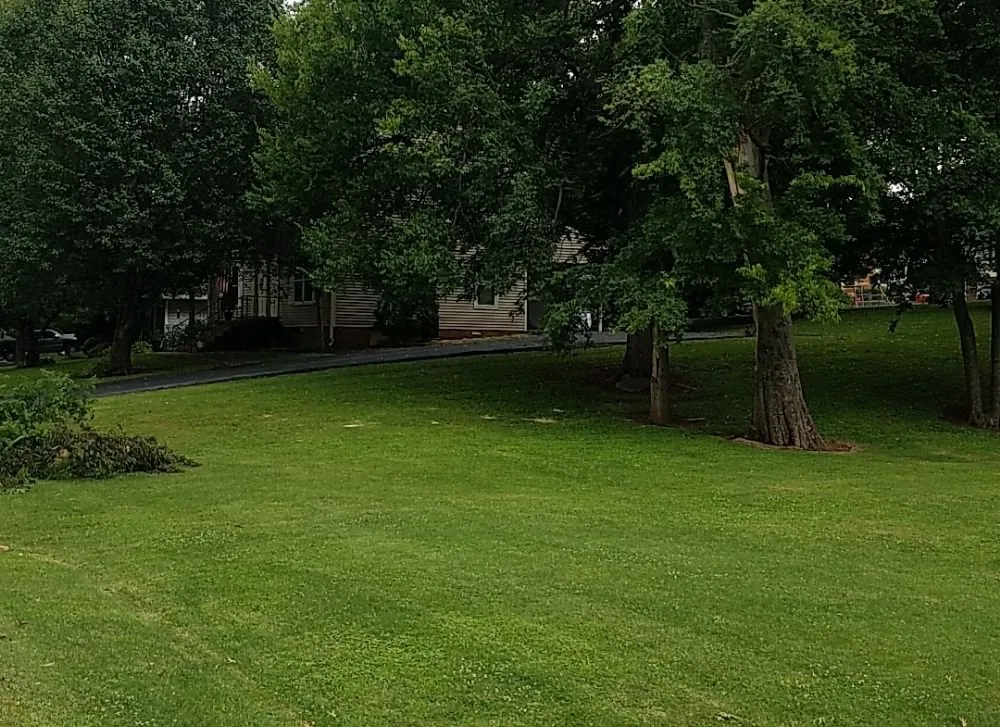 Local yard maintenance in Columbia, TN by DTC Tree Service