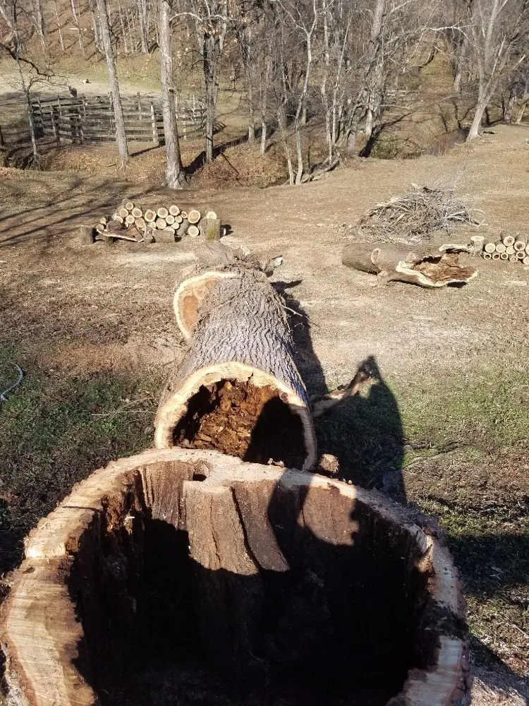 Local landscaping services in Columbia, TN - DTC Tree Service