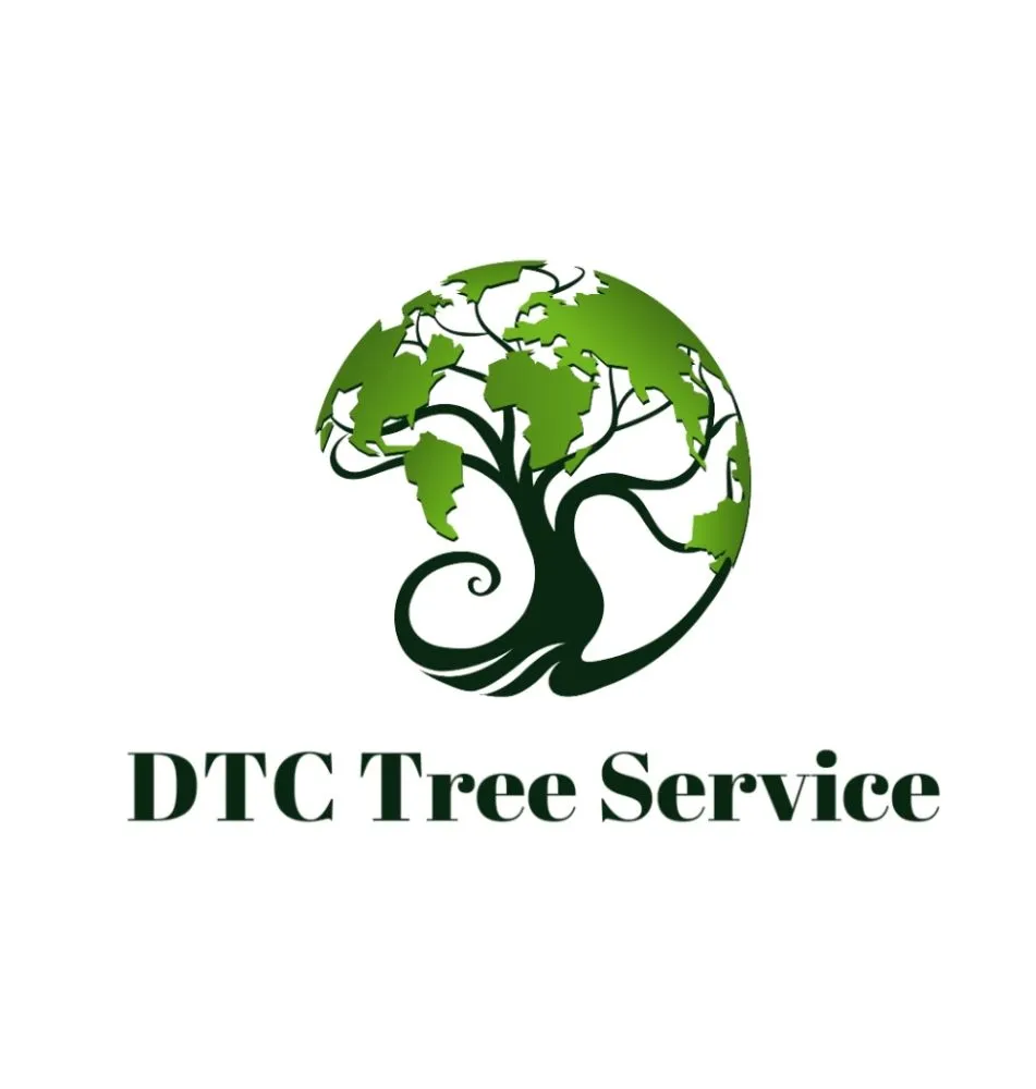 Professional landscape installation for beautiful yards in Columbia, TN by DTC Tree Service