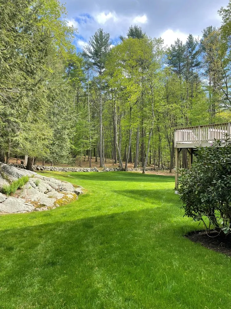 Expert lawn mowing service in Denver, NC by DTE Outdoor Solutions