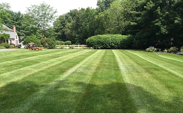 Reliable landscaping services in Denver, NC by DTE Outdoor Solutions