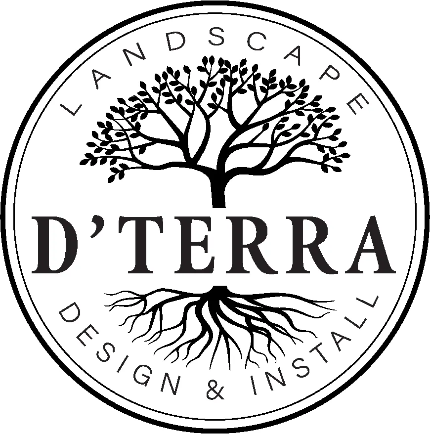 Top-rated lawn mowing service in Forest Lake, MN by D'Terra Landscape