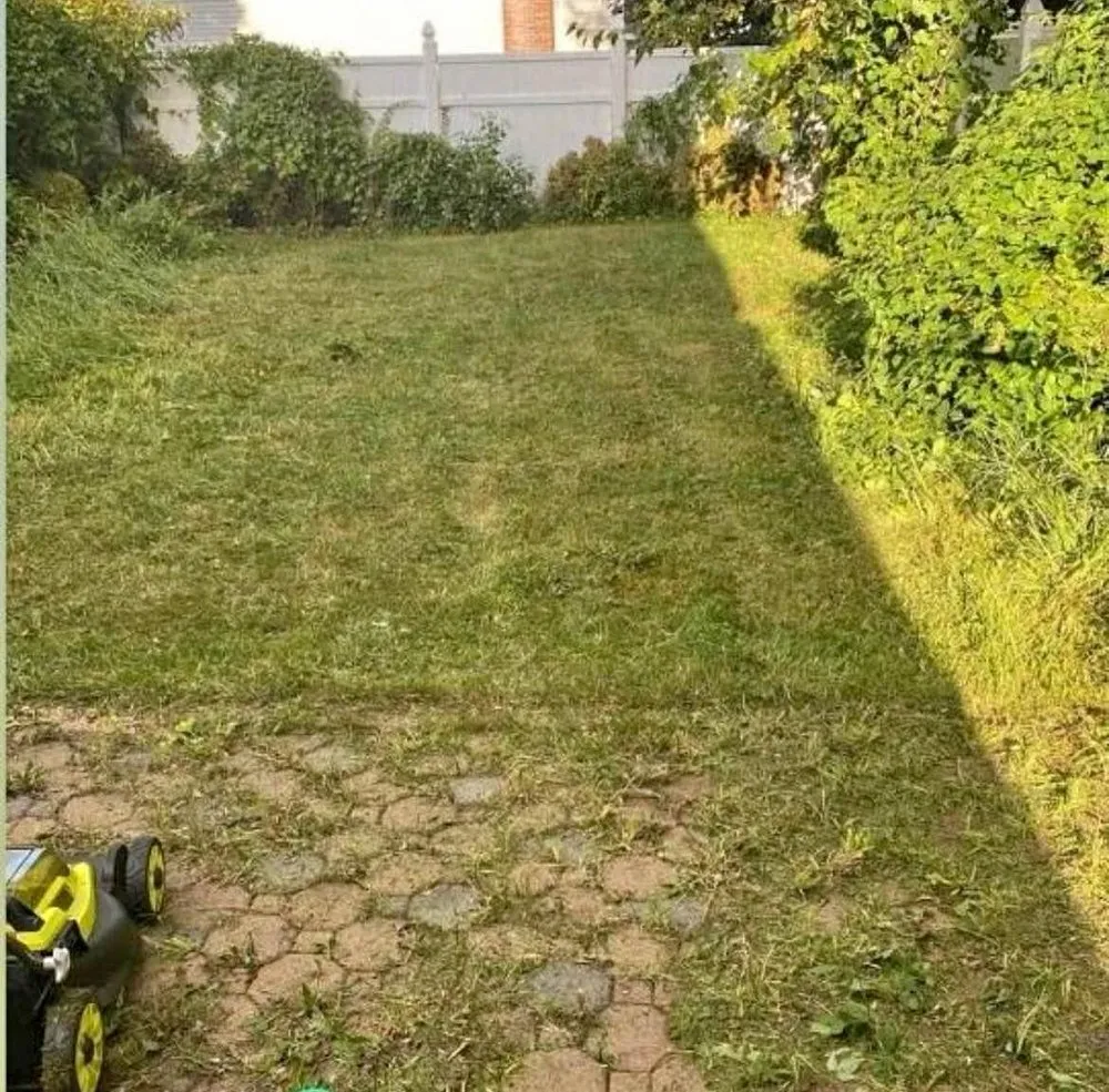 Reliable yard maintenance experts serving North White Plains, NY - DTGF Crew Service