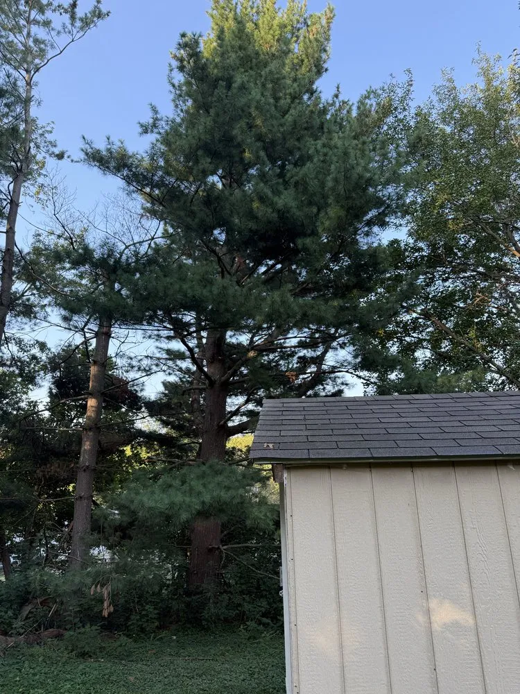 Professional landscape design near you in La Vista, NE by DTH Landscaping