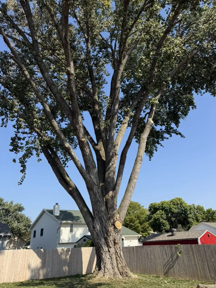 Expert lawn mowing service in La Vista, NE - DTH Landscaping