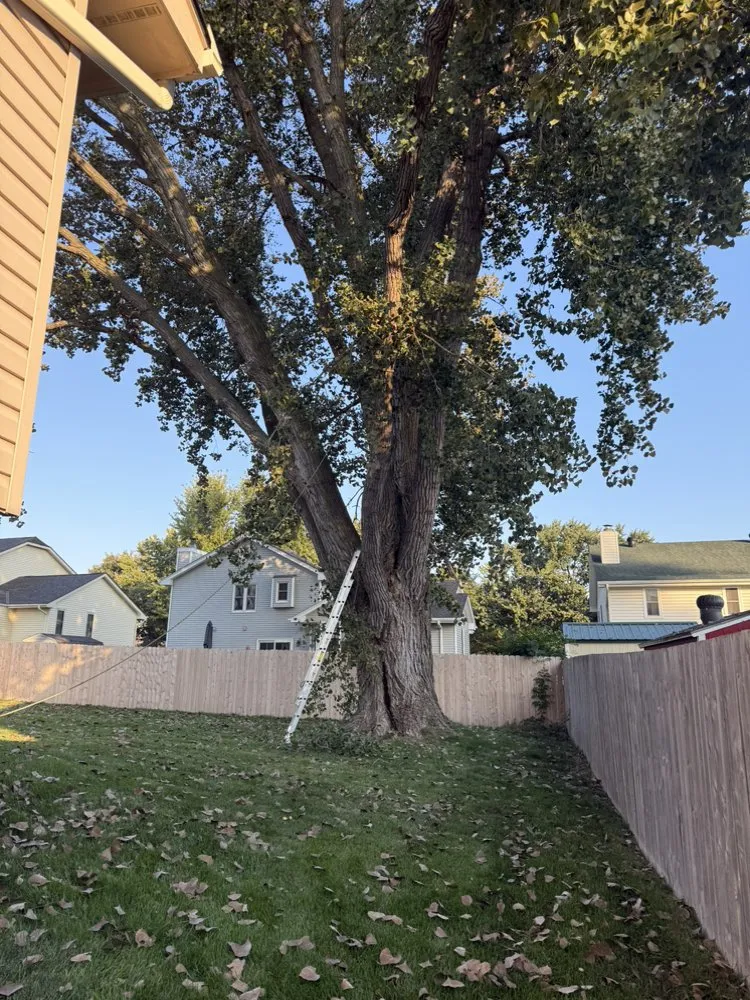 Custom yard maintenance experts serving La Vista, NE - DTH Landscaping