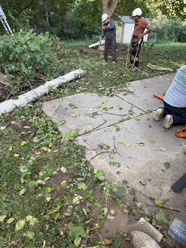 Custom landscaping services experts serving La Vista, NE - DTH Landscaping