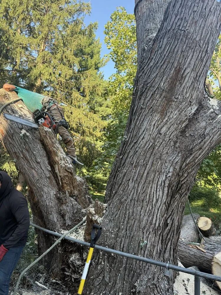 Custom landscaping services with custom design in La Vista, NE by DTH Landscaping