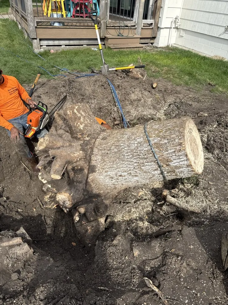 Local lawn care service with custom design in La Vista, NE by DTH Landscaping