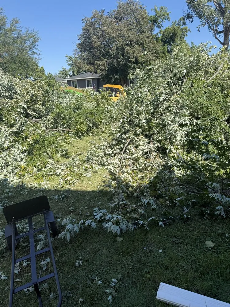 Trusted yard maintenance experts serving La Vista, NE - DTH Landscaping