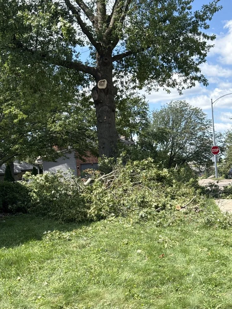 Professional yard cleanup service in La Vista, NE - DTH Landscaping