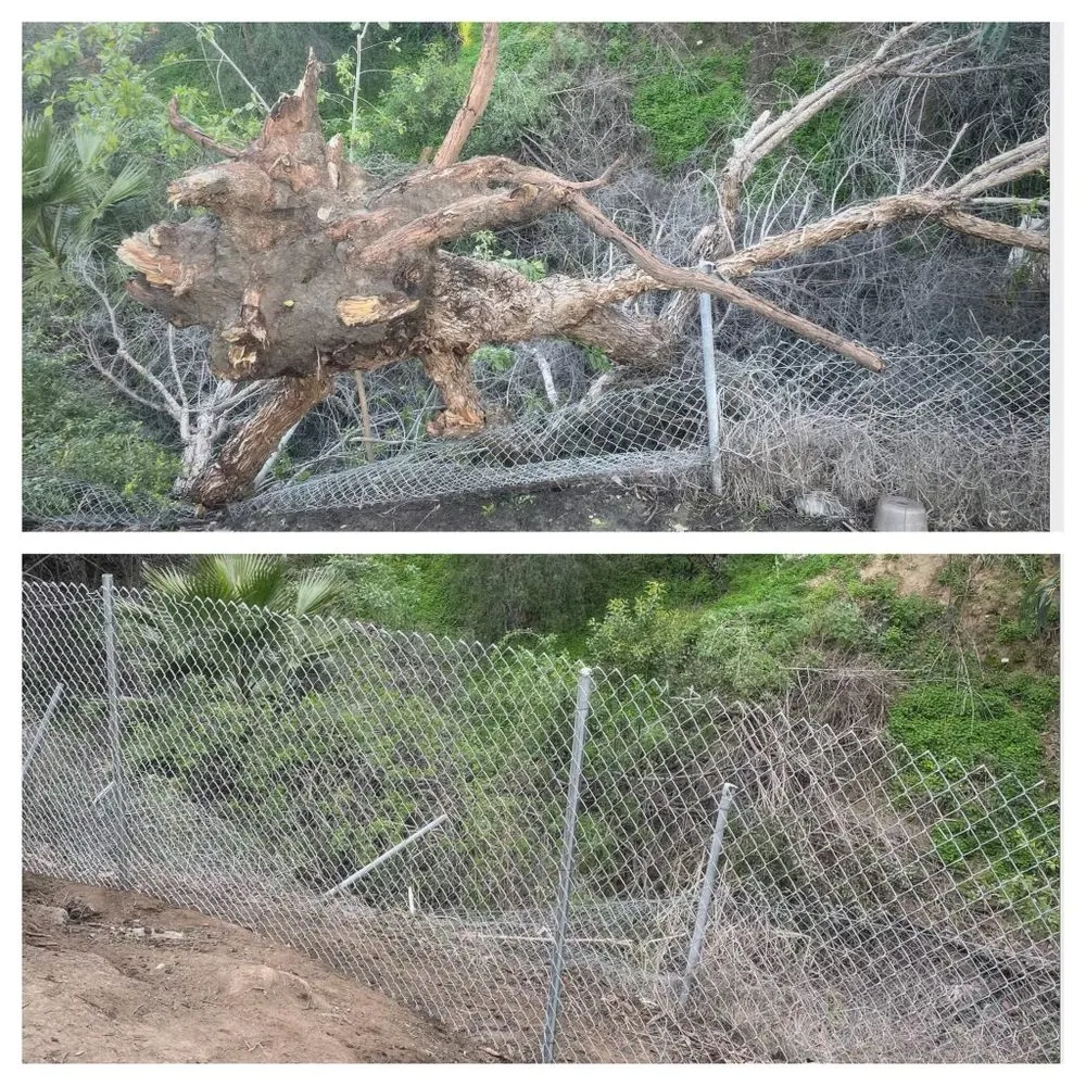 Custom garden landscaping in Norco, CA by Dthree Landscape & Tree Service