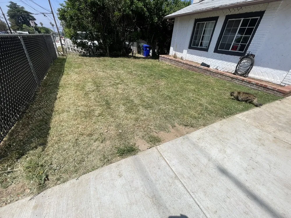 Professional landscaping services in Norco, CA by Dthree Landscape & Tree Service