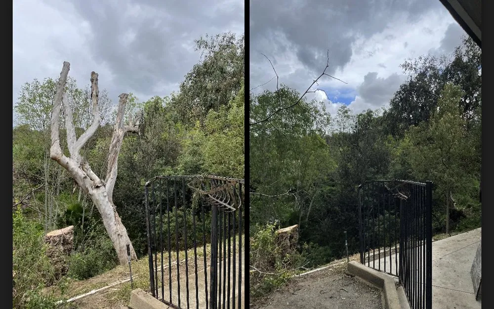 Expert lawn care service in Norco, CA - Dthree Landscape & Tree Service