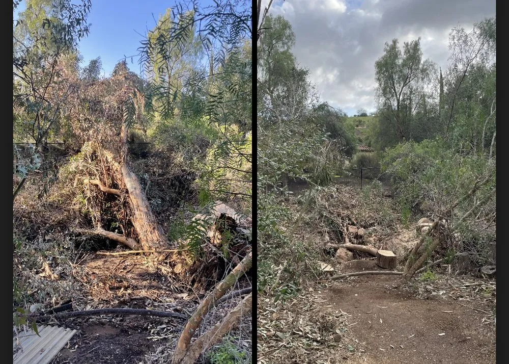 Reliable lawn mowing service for beautiful yards in Norco, CA by Dthree Landscape & Tree Service