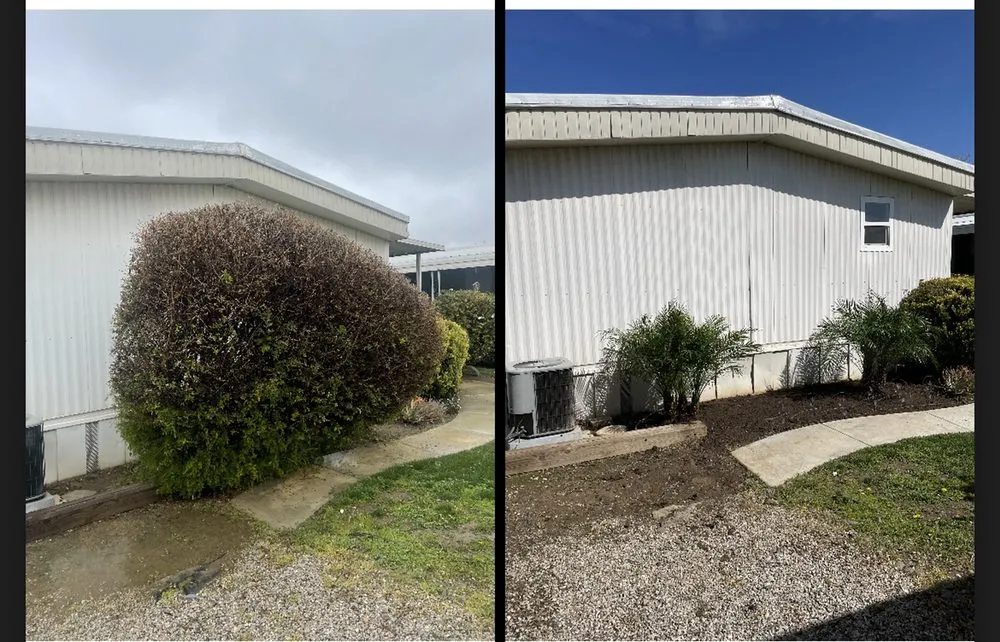 Expert yard cleanup service in Norco, CA - Dthree Landscape & Tree Service