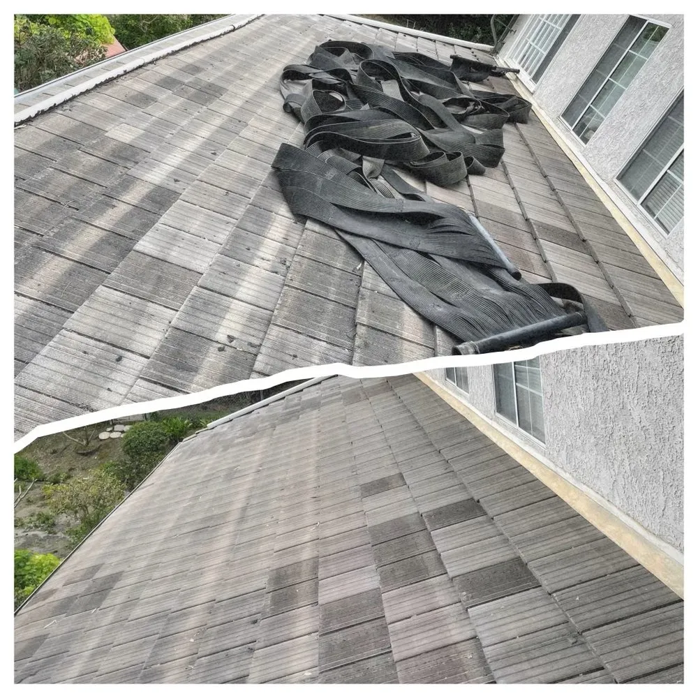 Local yard cleanup service experts serving Norco, CA - Dthree Landscape & Tree Service