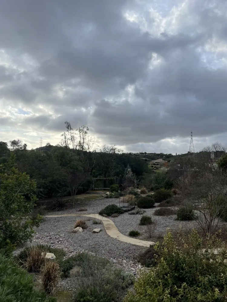 Trusted yard cleanup service in Norco, CA - Dthree Landscape & Tree Service