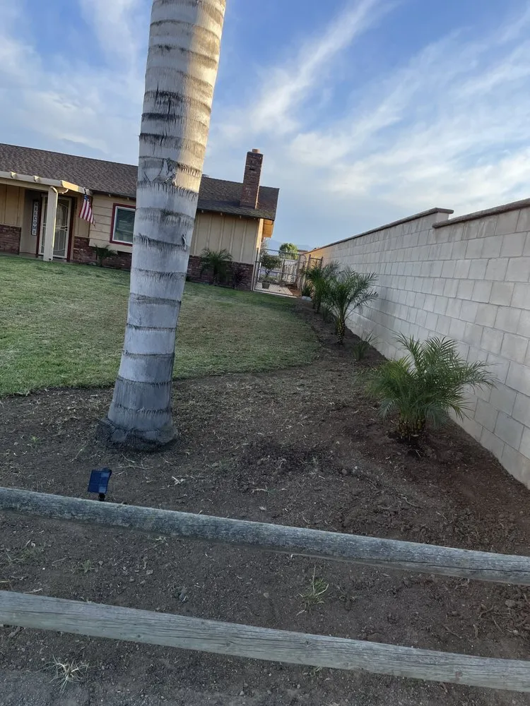 Custom landscape installation in Norco, CA by Dthree Landscape & Tree Service