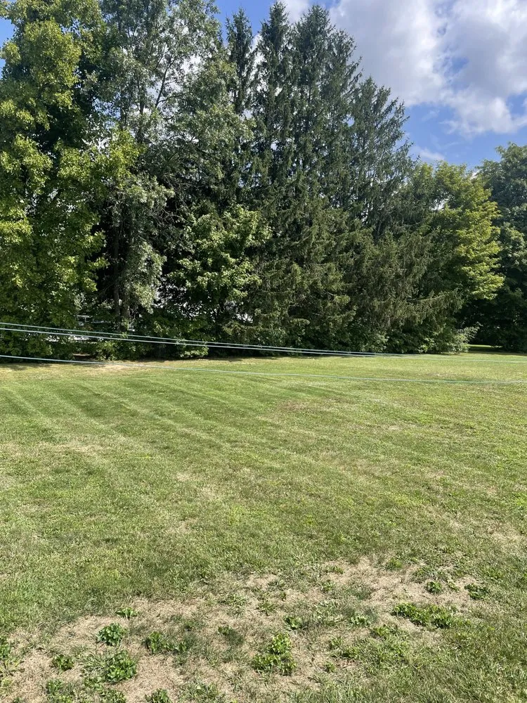 Custom landscaping services in Johnstown, PA - DTM Lawn & Landscape