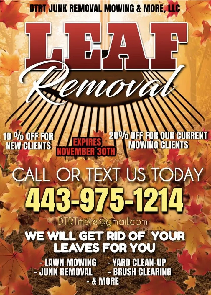 Reliable landscape design experts serving Prince Frederick, MD - DTRT JUNK REMOVAL MOWING & MORE