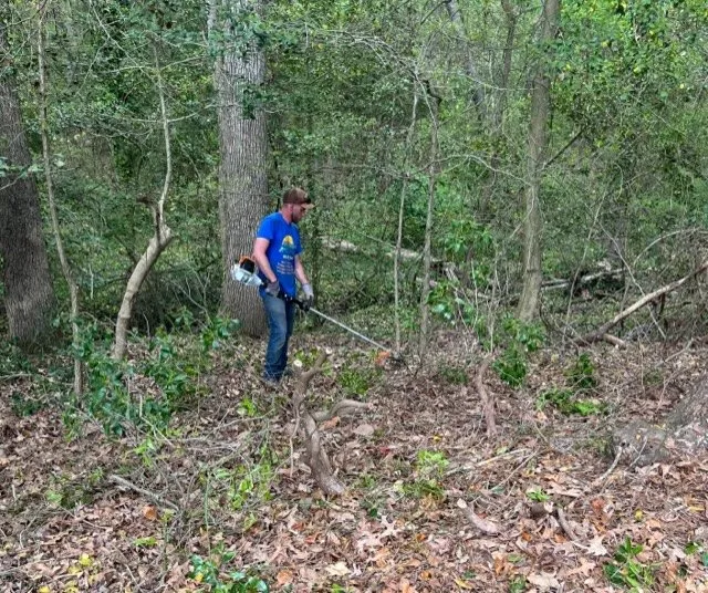 Affordable landscape installation for homes in Prince Frederick, MD by DTRT JUNK REMOVAL MOWING & MORE