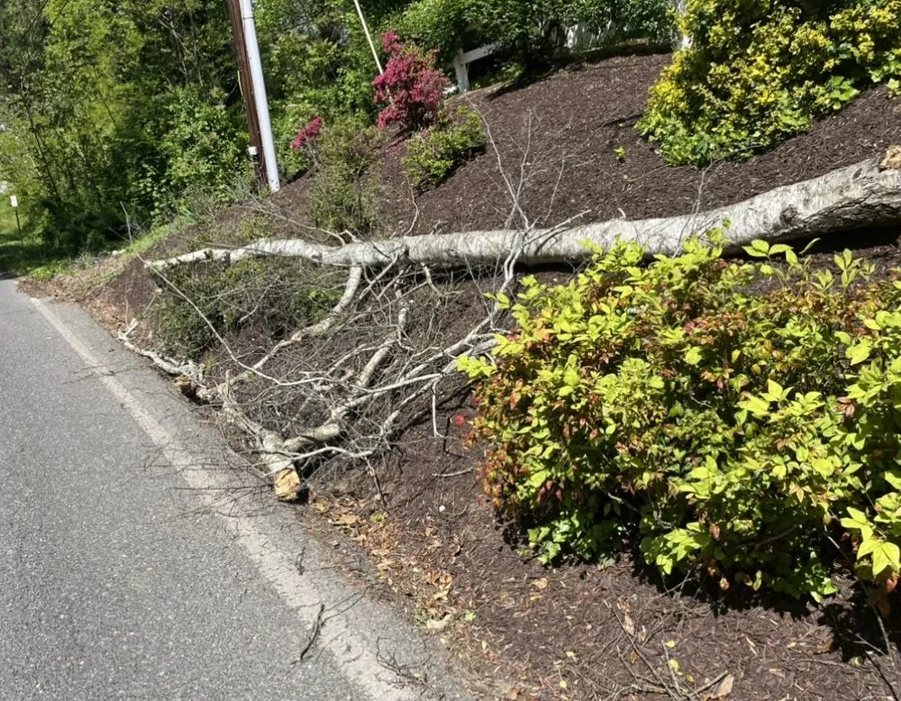 Affordable landscaping services experts serving Prince Frederick, MD - DTRT JUNK REMOVAL MOWING & MORE