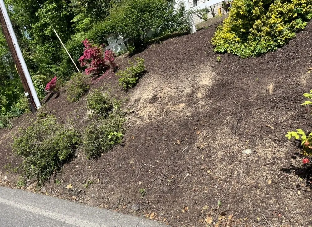 Custom landscape design experts serving Prince Frederick, MD - DTRT JUNK REMOVAL MOWING & MORE