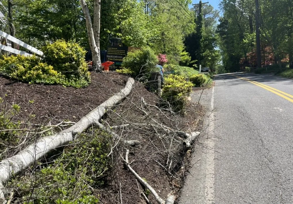 Affordable yard maintenance in Prince Frederick, MD by DTRT JUNK REMOVAL MOWING & MORE