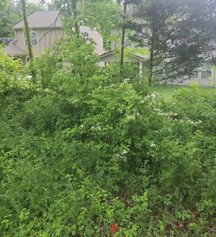 Expert garden landscaping for homes across Prince Frederick, MD - DTRT JUNK REMOVAL MOWING & MORE