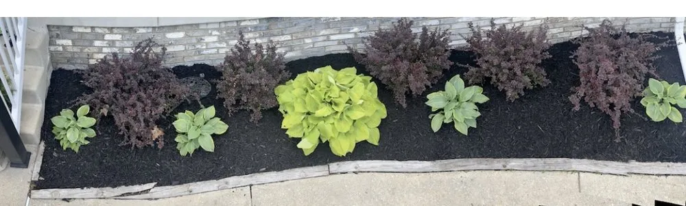 Professional lawn care service in Prince Frederick, MD by DTRT JUNK REMOVAL MOWING & MORE