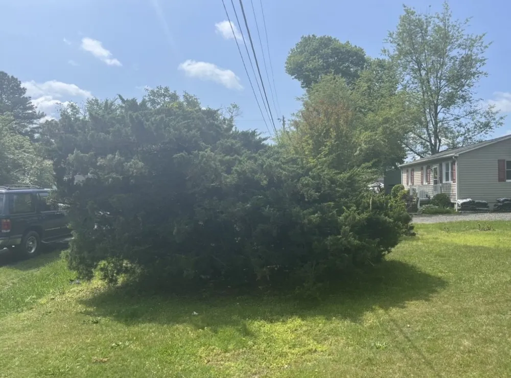 Custom outdoor landscaping in Prince Frederick, MD by DTRT JUNK REMOVAL MOWING & MORE