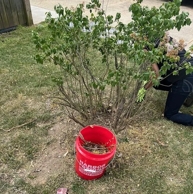 Top-rated residential landscaping for homes across Prince Frederick, MD - DTRT JUNK REMOVAL MOWING & MORE