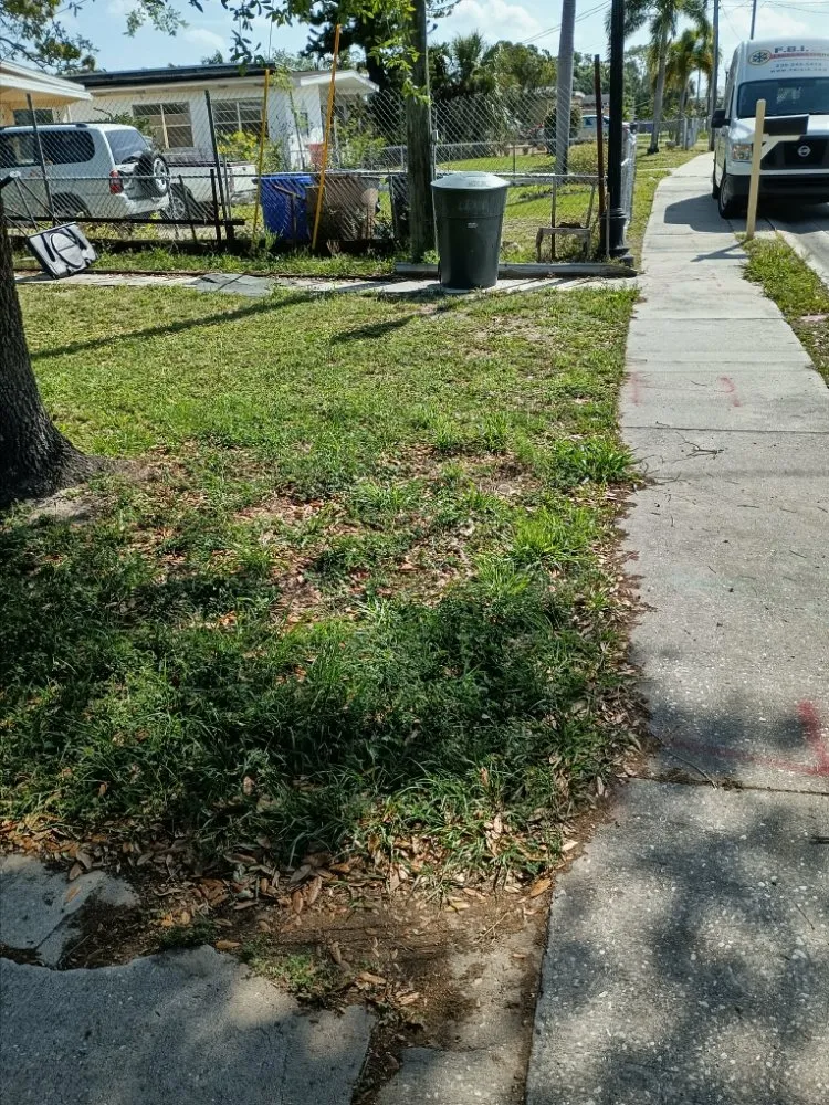 Expert residential landscaping for beautiful yards across Lehigh Acres, FL - DTS Enterprises