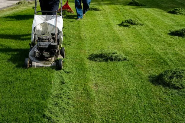Local lawn care service in Lehigh Acres, FL - DTS Enterprises