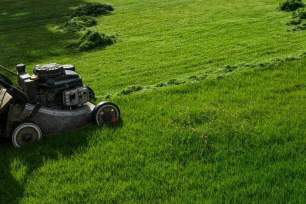 Expert garden landscaping in Lehigh Acres, FL - DTS Enterprises