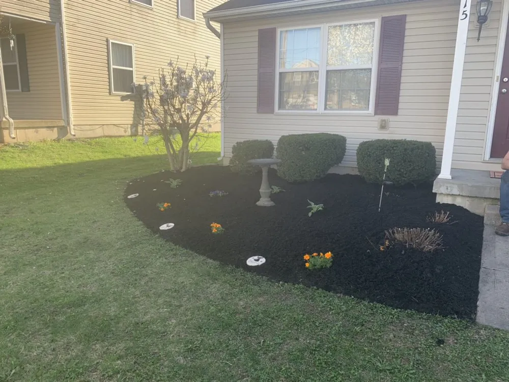 Reliable yard cleanup service experts serving Trenton, OH - DT'S Inside & Out