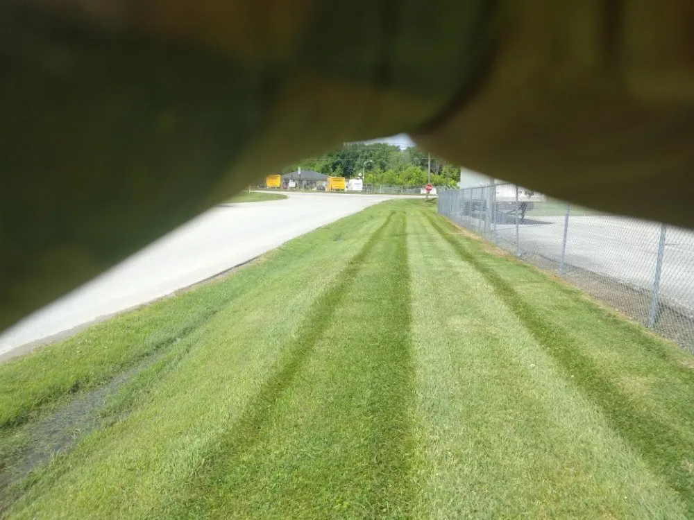 Expert yard maintenance in London, KY by D&T's Lawn Service