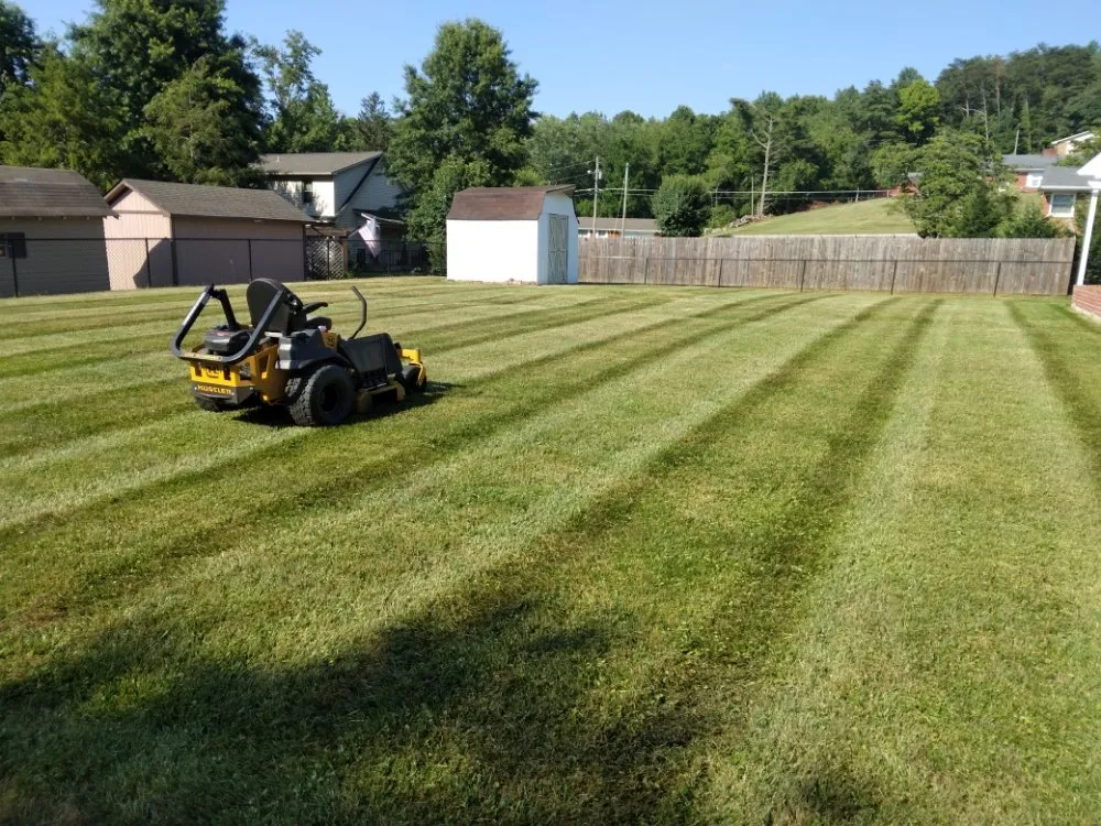 Affordable landscape design experts serving London, KY - D&T's Lawn Service