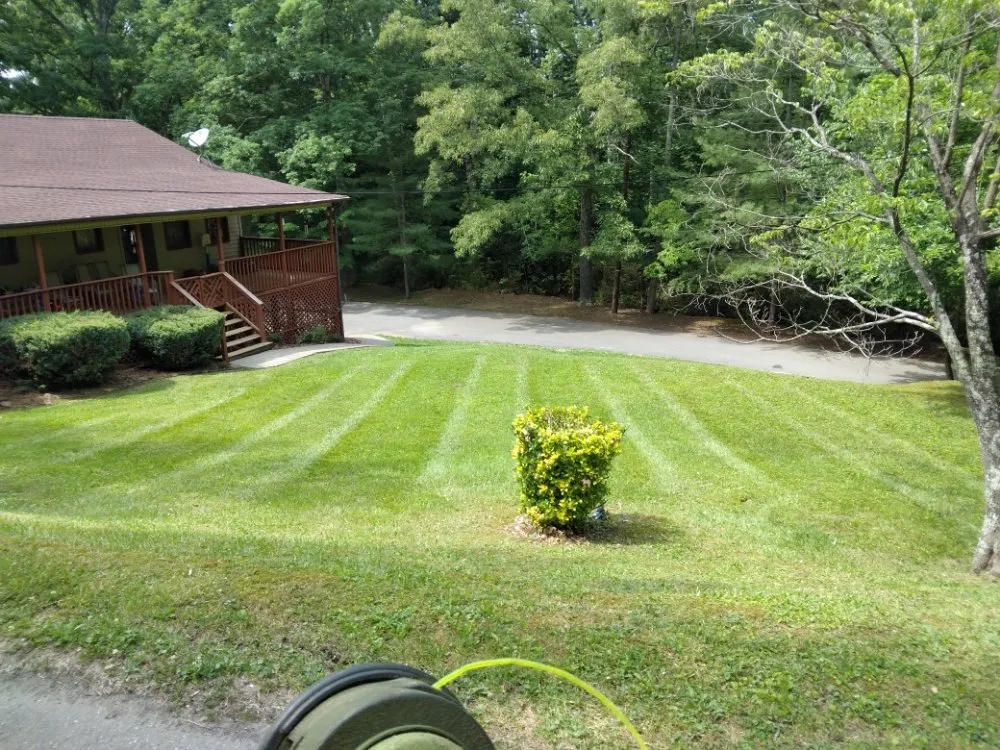 Expert lawn care service in London, KY - D&T's Lawn Service