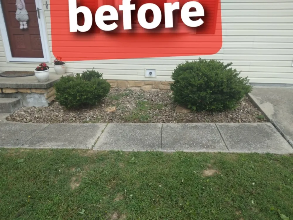 Custom lawn care service for residential properties across London, KY - D&T's Lawn Service