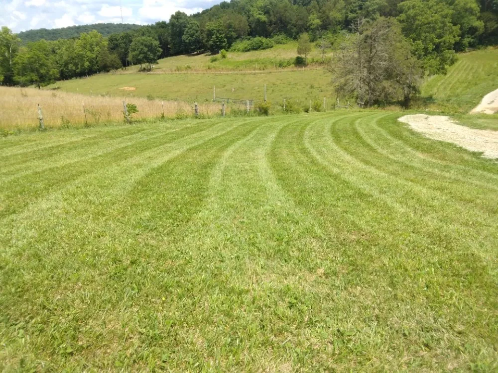 Local outdoor landscaping for beautiful yards in London, KY by D&T's Lawn Service