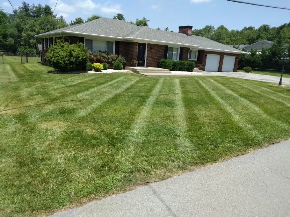 Professional landscape installation in London, KY - D&T's Lawn Service