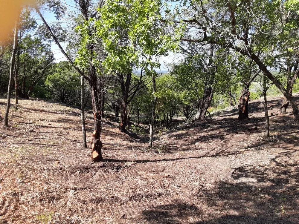 Affordable landscaping services experts serving Lipan, TX - Duane Landscaping