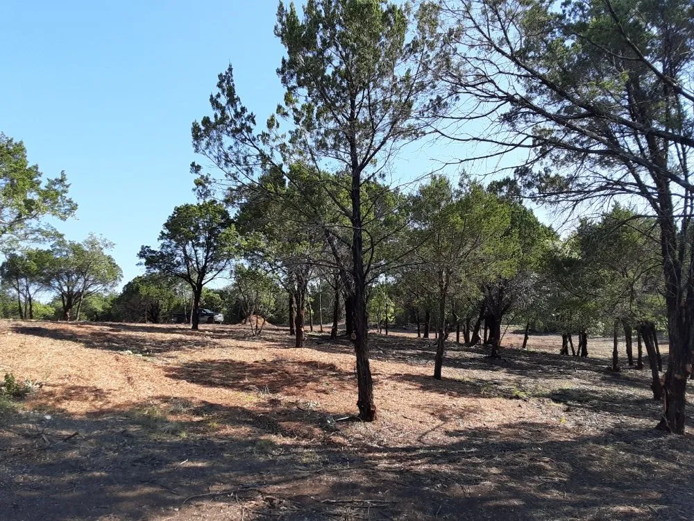 Top-rated landscaping services experts serving Lipan, TX - Duane Landscaping