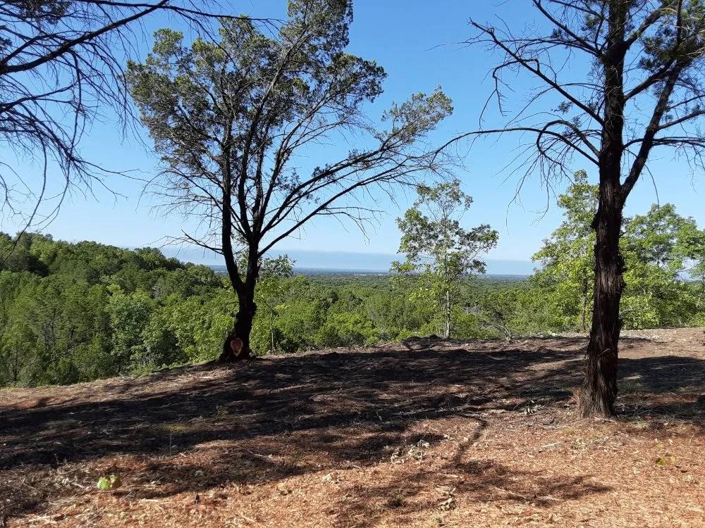 Reliable residential landscaping for homes across Lipan, TX - Duane Landscaping