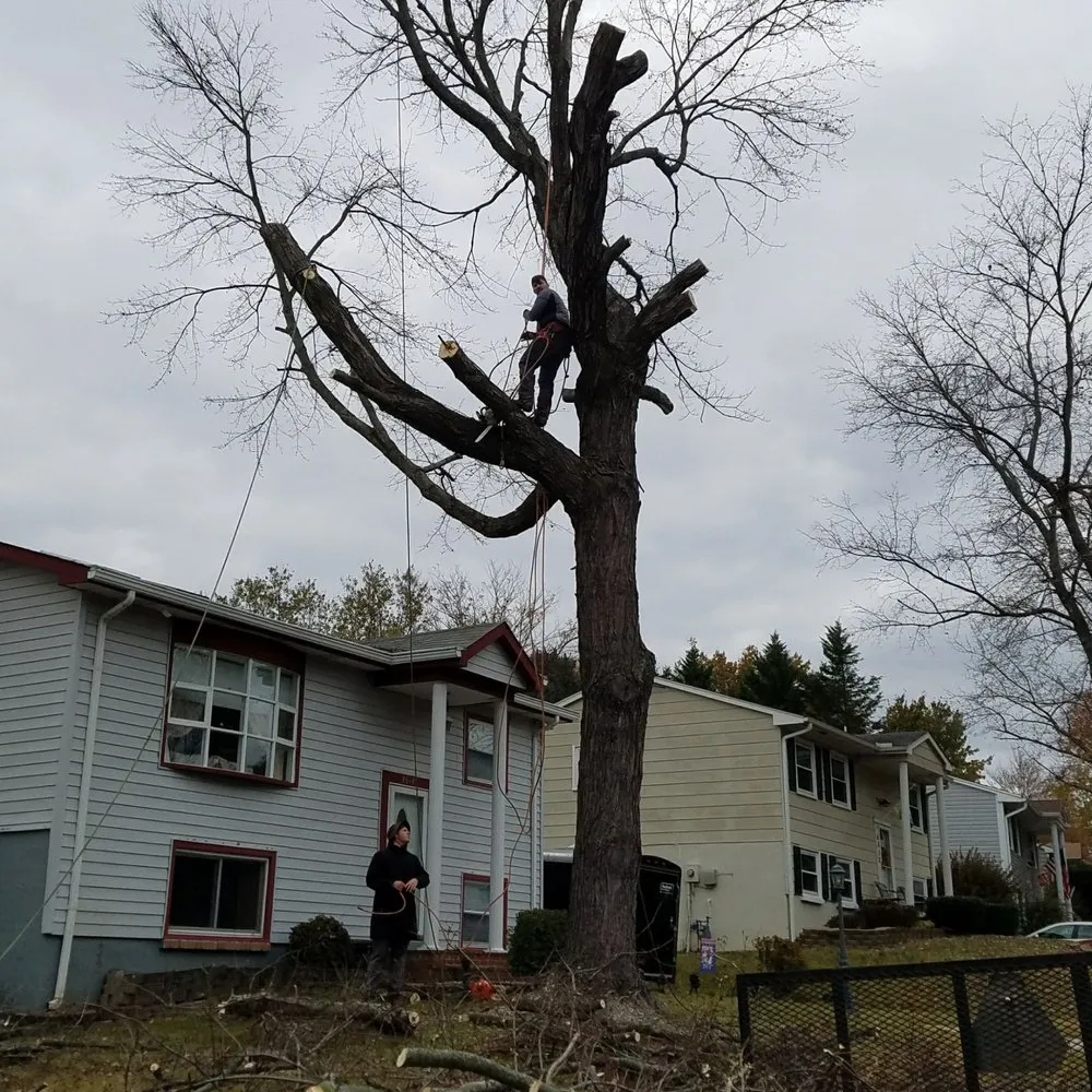 Custom lawn mowing service in Woodbridge, VA by Duane's Tree Removal Service