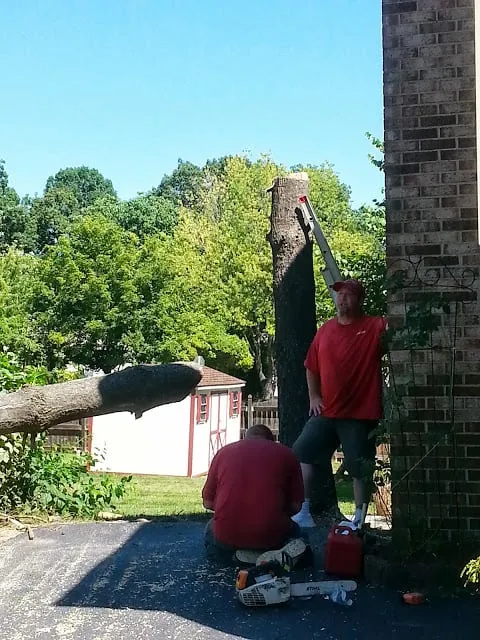 Affordable landscape design for homes across Woodbridge, VA - Duane's Tree Removal Service