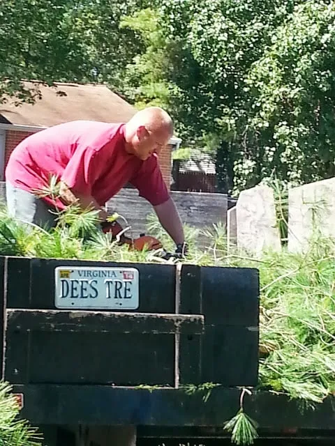 Affordable landscape installation experts serving Woodbridge, VA - Duane's Tree Removal Service