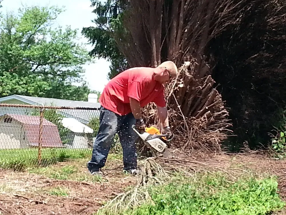 Affordable landscaping services in Woodbridge, VA by Duane's Tree Removal Service